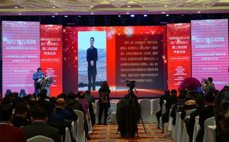 資產(chǎn)置換 撬動(dòng)民營(yíng)經(jīng)濟(jì)發(fā)展的新支點(diǎn)與商務(wù)信息咨詢的價(jià)值